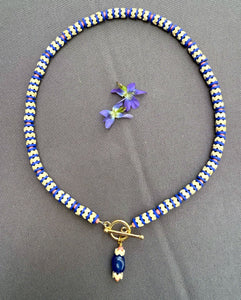 D126 - Cobalt & Coral "Vertebrae" Style Front Clasp Necklace