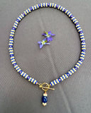 D126 - Cobalt & Coral "Vertebrae" Style Front Clasp Necklace